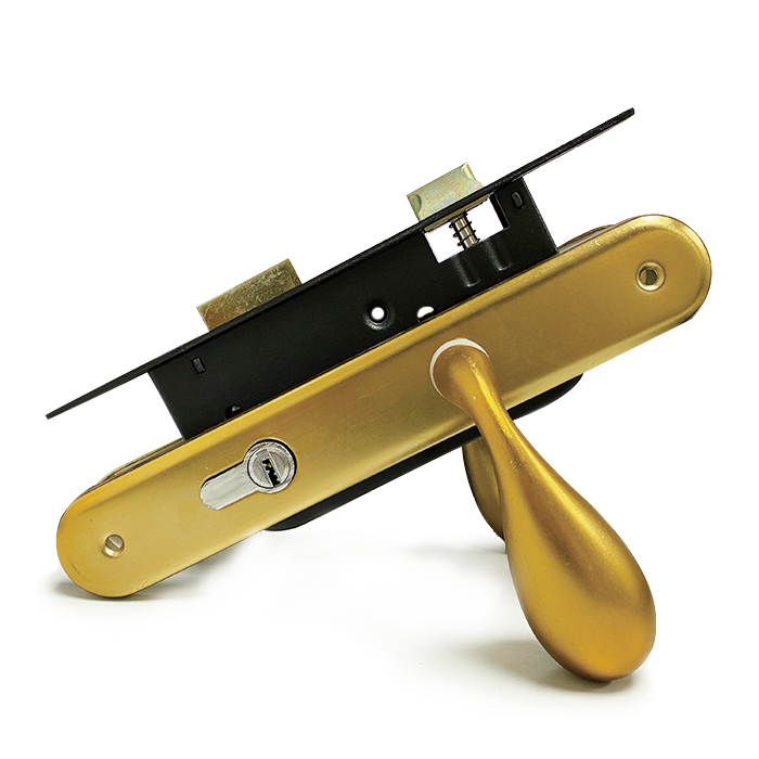 Zeise-ikon hot sale door locks for wooden doors with handle with cylinder door lock set