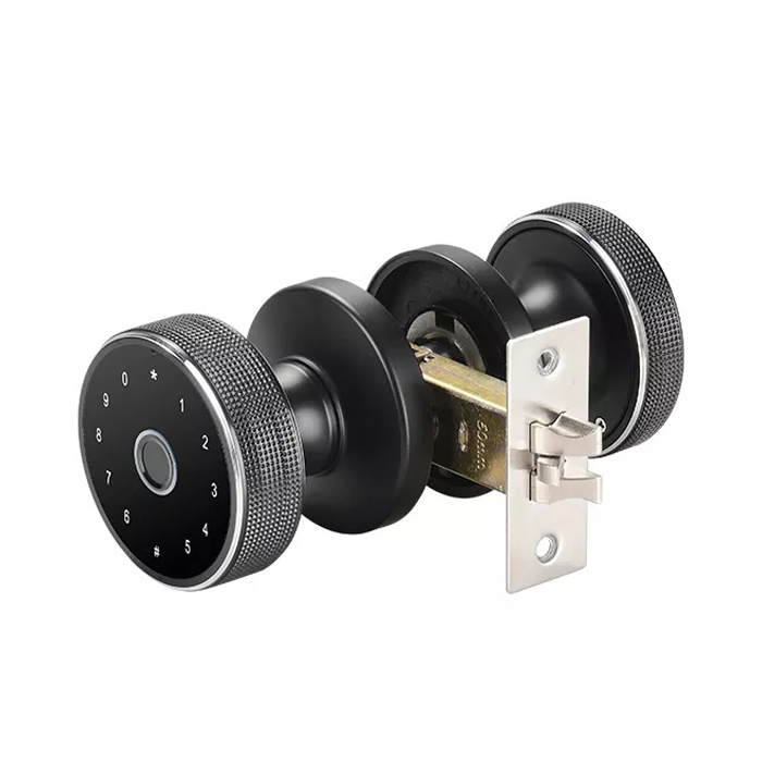 Fingerprint Door Lock Knob Tuya Bluetooth Keyless Home Door Lock Biometric Electronic Smart Digital Door Lock