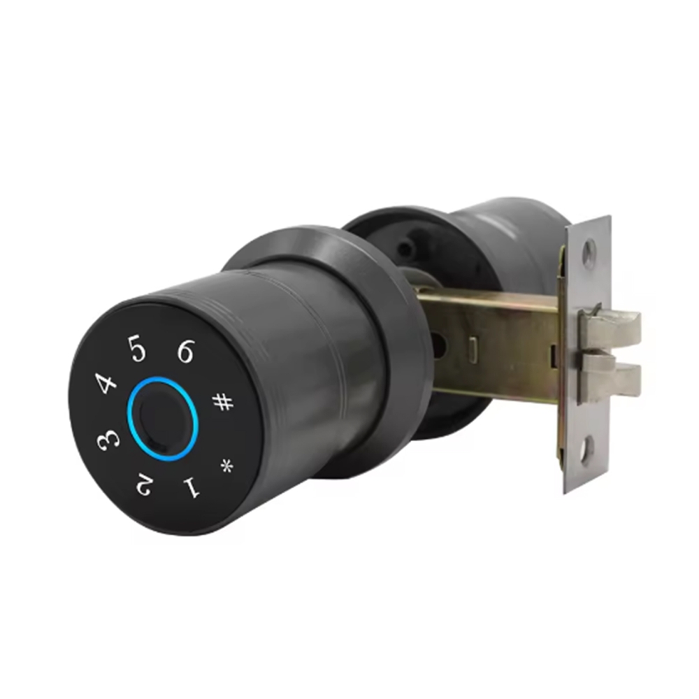 Intelligent Lock Tuya-safety Lock Intelligent Wifi Fingerprint Lock