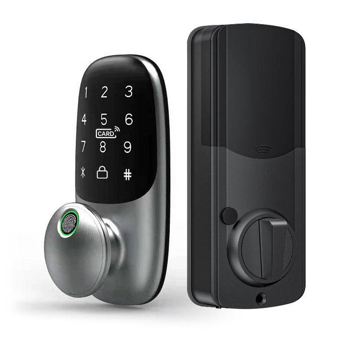 Electronic Smart TTLock Tuya Password Card Keyless Smart  Zinc Alloy Door Lock