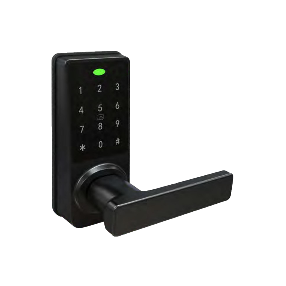 Factory Direct Sale Digital Password Smart Lock TTLock for Wood Glass Door Safe Chinese Lock for Hotels Apartments